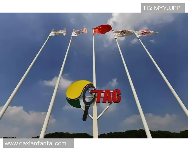 深度对话吴敏的网球人生与成长历程探索